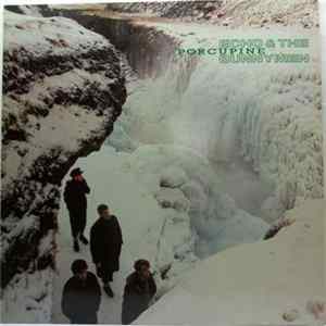 Echo & The Bunnymen - Porcupine Album