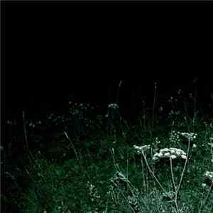 Docetism - Nightwalk Album
