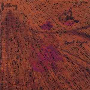 Court Lajoie - Falling Album