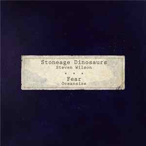 Steven Wilson / Oceansize - Stoneage Dinosaurs/Fear Album