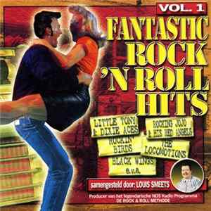 Various - Fantastic Rock 'N Roll Hits Vol.1 Album