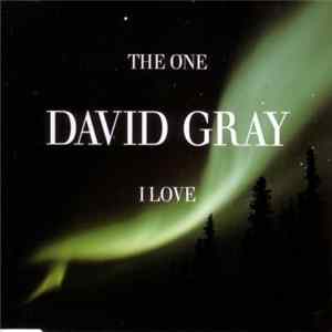 David Gray - The One I Love Album