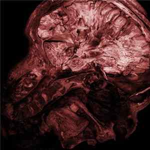 Thanatopsis - Stages Of Decomposition Album