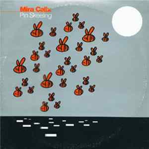 Mira Calix - Pin Skeeling Album