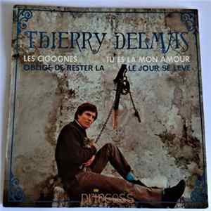 Thierry Delmas - Les Cigognes Album