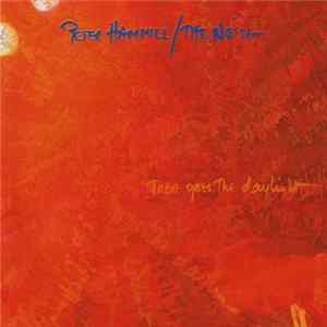 Peter Hammill / The Noise - There Goes The Daylight Album