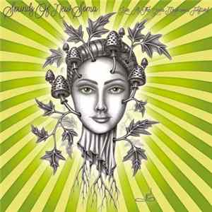 Sounds Of New Soma - Live At The Green Mushroom Festival Album