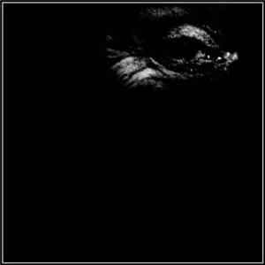 9 Beds - Tegeneria​-​Sessions Album