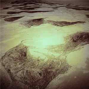 Savaran Featuring Barbara De Dominicis - Strandline Album