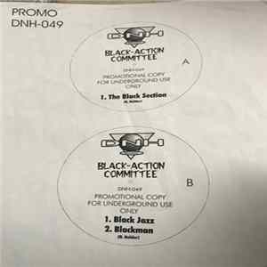 N Holder - Black Action Committee Album
