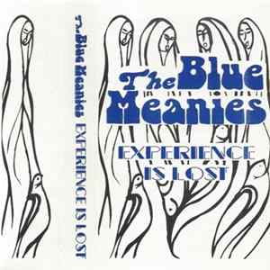 The Blue Meanies - Experience Is Lost Album