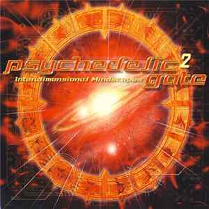Various - Psychedelic Gate 2 (Interdimensional Mindscapes) Album