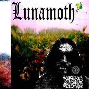 My BOY Constrictor - Lunamoth Album