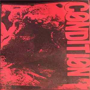 Condition - Deteriorating Album
