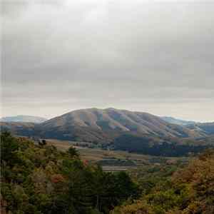 Dirty Projectors + Björk - Mount Wittenberg Orca Album