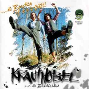 Krauthobel und die Buschlabänd - ... die Beschta of d'r Wält! Album
