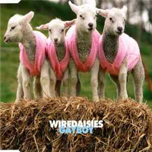 Wire Daisies - Gayboy Album
