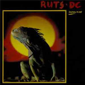 Ruts DC - Animal Now Album
