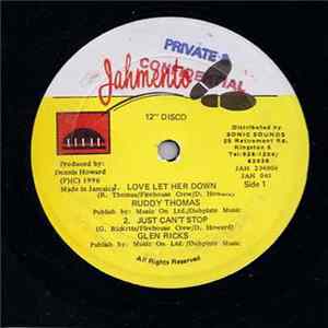 Ruddy Thomas / Glen Ricks / Tanya Stephens & Tony Green / Mad Cobra - Love Let Her Down / Just Can't Stop / Untouched / Pon You Farm Album