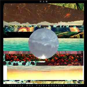 Nah - Live You Not Pain Probably Is Life Album