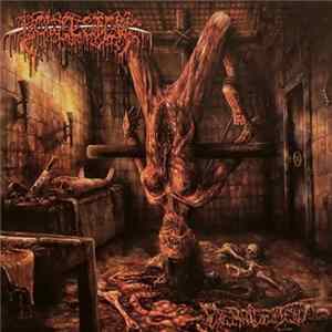 Bowel Stew - Debridement Album