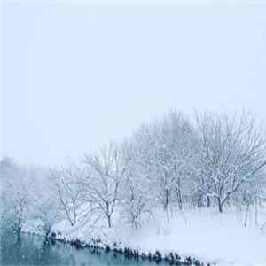 Gallery Six - Vibrancy Album