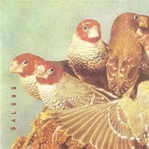 Salons - In A While Album