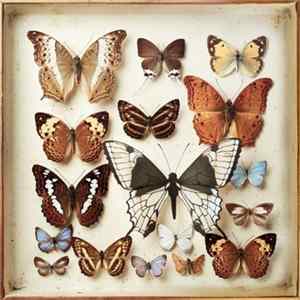 Emiliana Torrini - Rarities Album