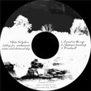 Nikita Golyshev - 3 Plays For Mechanical Water And Electrical Sky Album