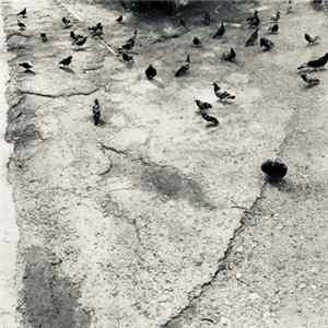 presidiomodelo - Mix For Unline Album