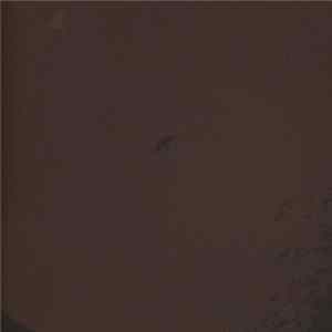 My Dying Bride - Evinta Album