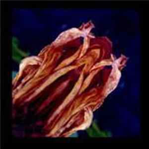 Various - Audio Apogee Album