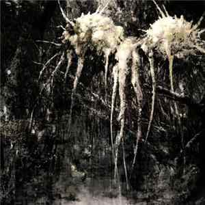 Various - Hate/Life Album