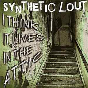 Synthetic Lout - I Think It Lives In The Attic Album