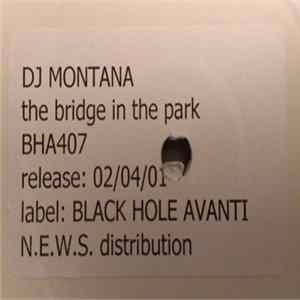 DJ Montana - The Bridge In The Park Album