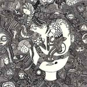 The Delay In The Universal Loop - Disarmonia Album