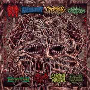 Various - 8 Ways To The Internal Rot Album