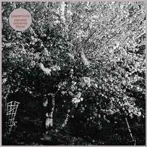 Papercuts - Parallel Universe Blues Album