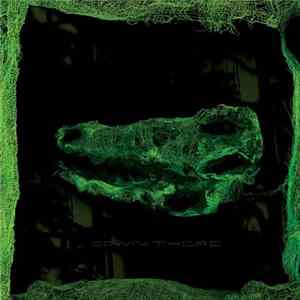 Avey Tare - Down There Album