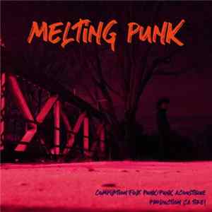 Various - Melting Punk Album