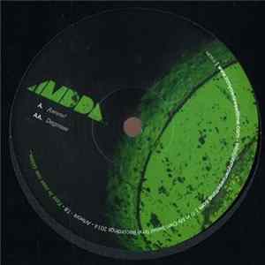 MDDA - Awww!/Degrease Album