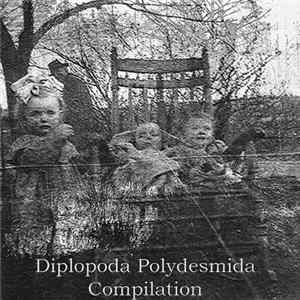 Diplopoda Polydesmida - Compilation Album