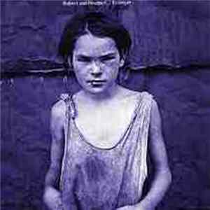 Robert van Heumen - Stranger Album