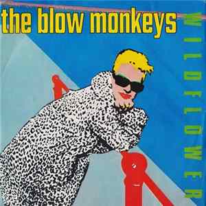 The Blow Monkeys - Wildflower Album