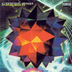 Kleenex Girl Wonder - After Mathematics Album