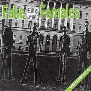Fake Females - Big Blimp UFO Album