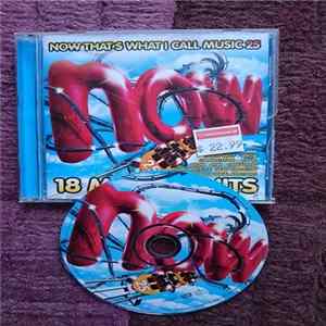Various - Now That's What I Call Music 25 Album