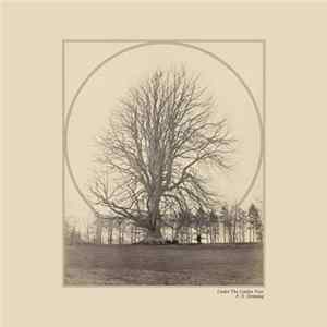 F. E. Denning - Under The Linden Tree Album
