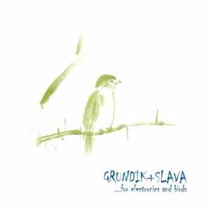 Grundik + Slava - ...For Electronics And Birds Album