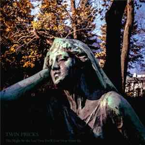 Twin Pricks - This Might Be The Last Time You'll Ever Hear From Us Album